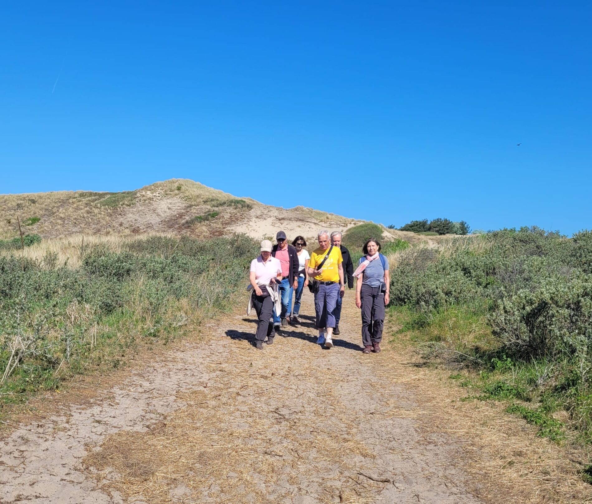Bild zum Beitrag Wandern und Radfahren im Nachbarland: In den Dünen und auf Radwegen unterwegs in Egmond aan Zee